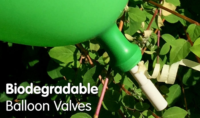 Biodegradable Valves for Balloons with Raffia Ribbon