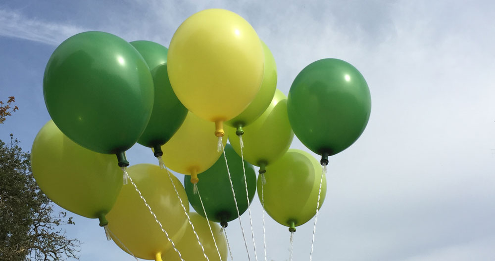 Helium Balloons fitted with the HSV™