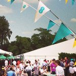 Synthetic Paper Bunting