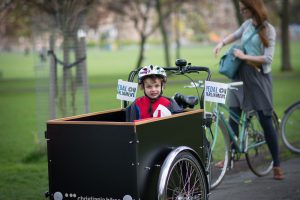 Boy with Pedal on Parliament Flag